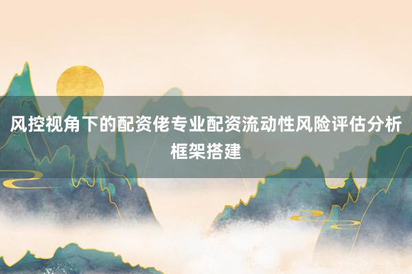 风控视角下的配资佬专业配资流动性风险评估分析框架搭建