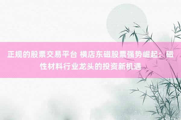 正规的股票交易平台 横店东磁股票强势崛起：磁性材料行业龙头的投资新机遇